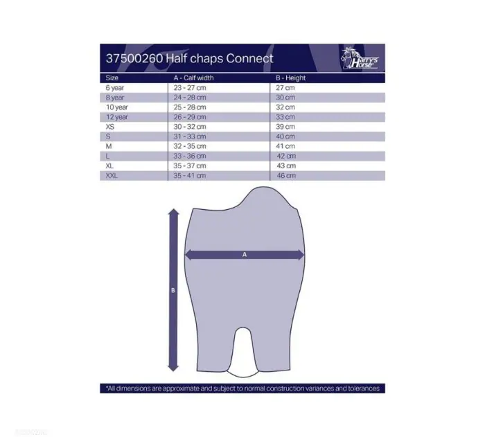 HH騎士綁腿-PU皮 - Image 2