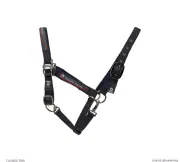 CT 龍頭牽繩套組-深藍黑