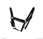 CAV002/9999 CT 龍頭牽繩套組-黑色