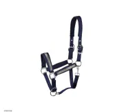 31000048 (3) HH馬用龍頭-Disco Fever