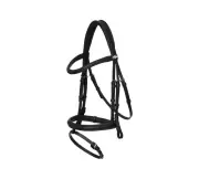 Lemieux 韁繩-Flash