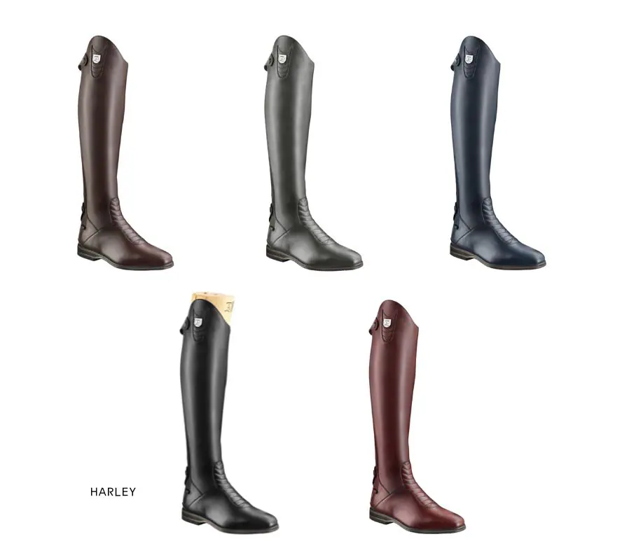 Tucci Time Harley - Image 2