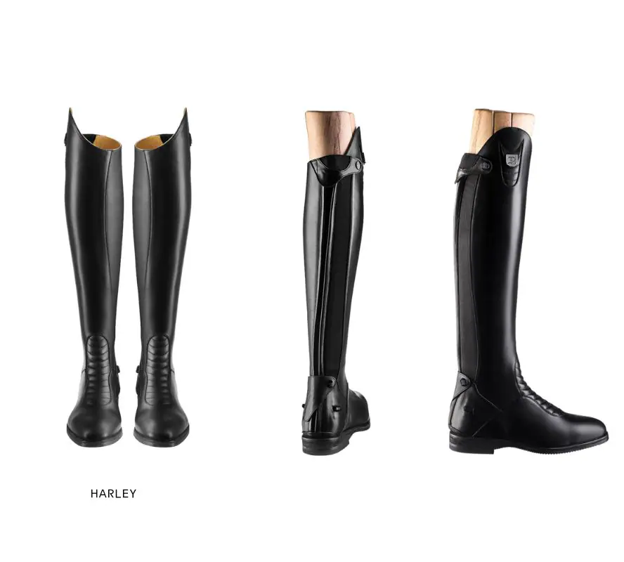 Tucci Time Harley - Image 3