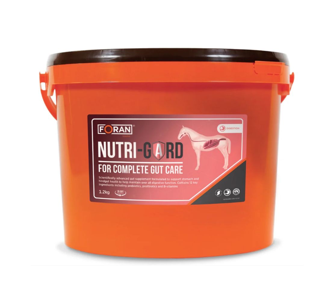 New-NG-packshot Froan 腸胃益生菌