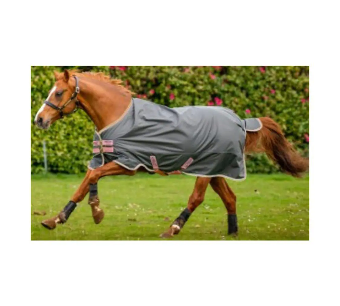 242 Amigo Hero Ripstop 無內裡防水防風馬衣