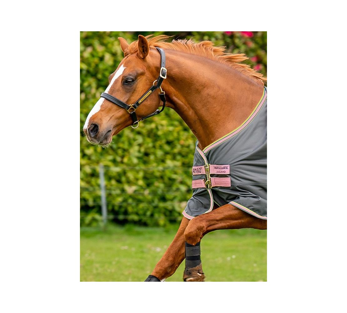 Amigo Hero Ripstop 無內裡防水防風馬衣 - Image 3