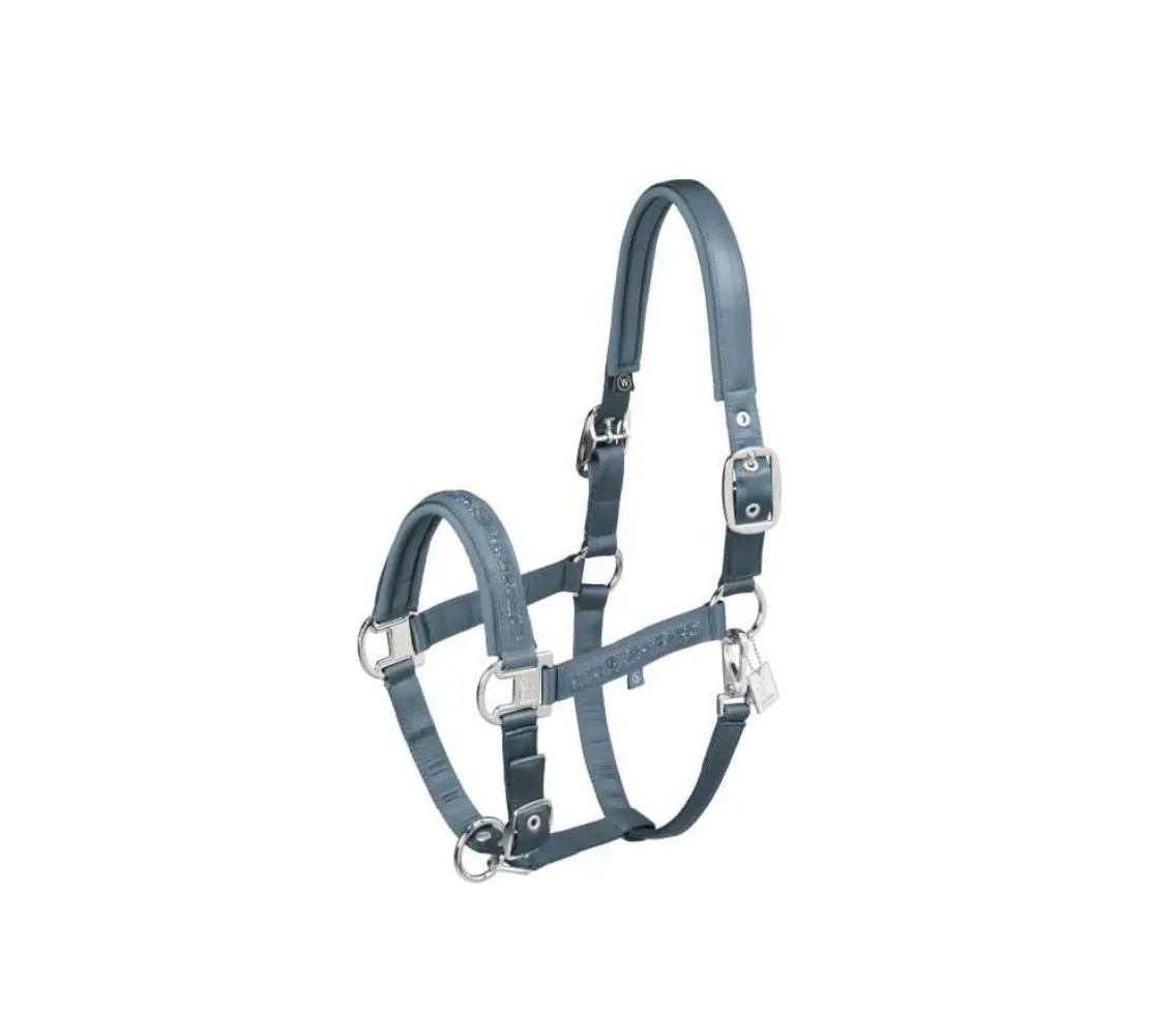 61 Eskadron馬用龍頭牽繩組-Mattgloss Jewel-灰藍色