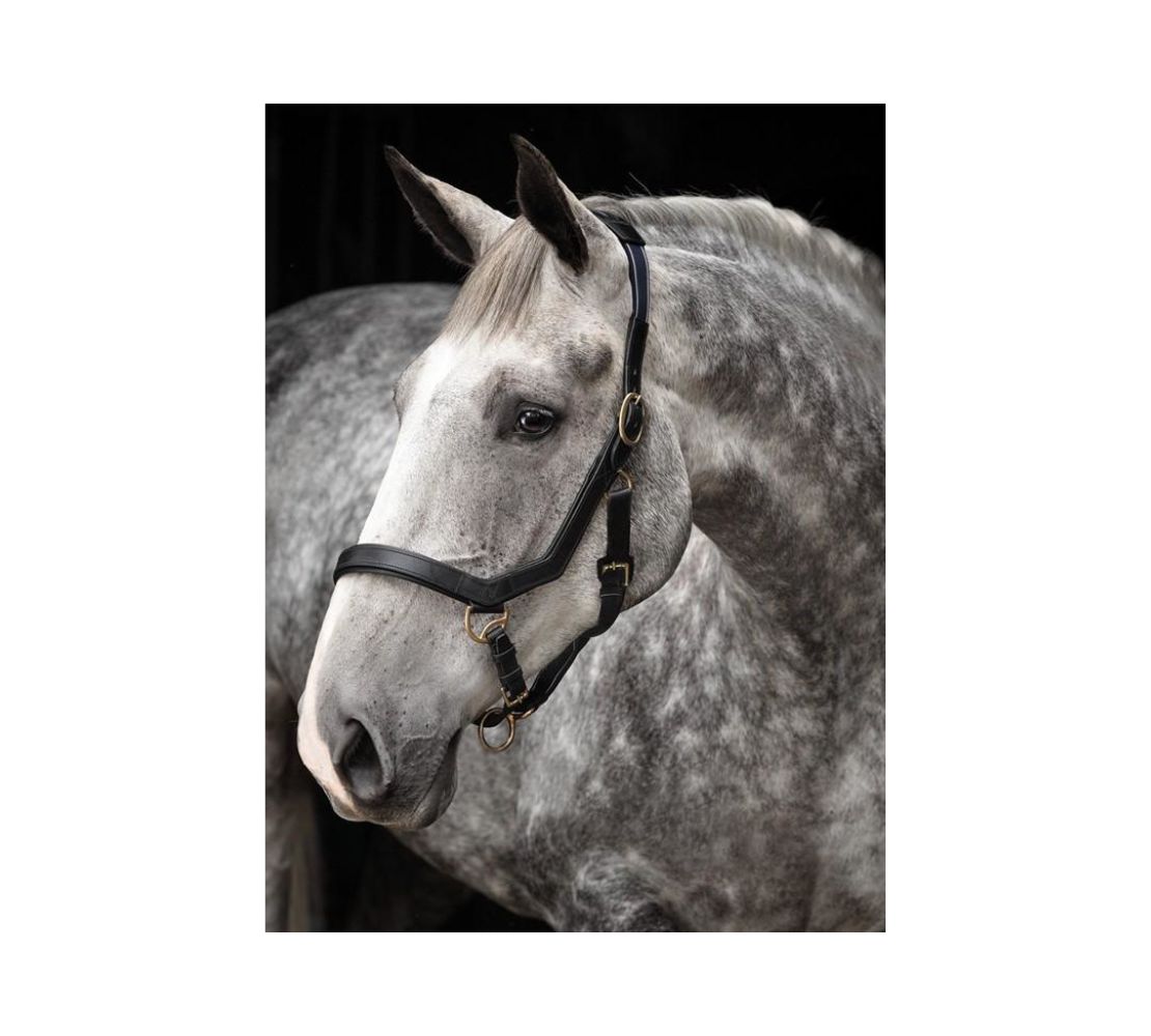 64 Rambo 馬用皮革龍頭-Micklem-黑色