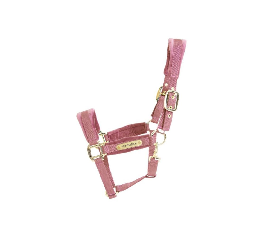 72 Kentucky馬用龍頭牽繩組-天鵝絨-粉色